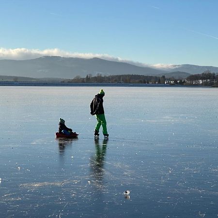 Unique Lipno Apartment Černá v Pošumaví Екстериор снимка